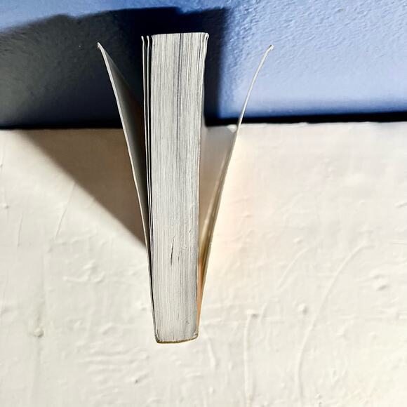 The Aeneid: An Epic Poem of Rome - Picture 4 of 8